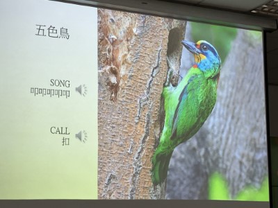 訓練班鳥音辨識教學