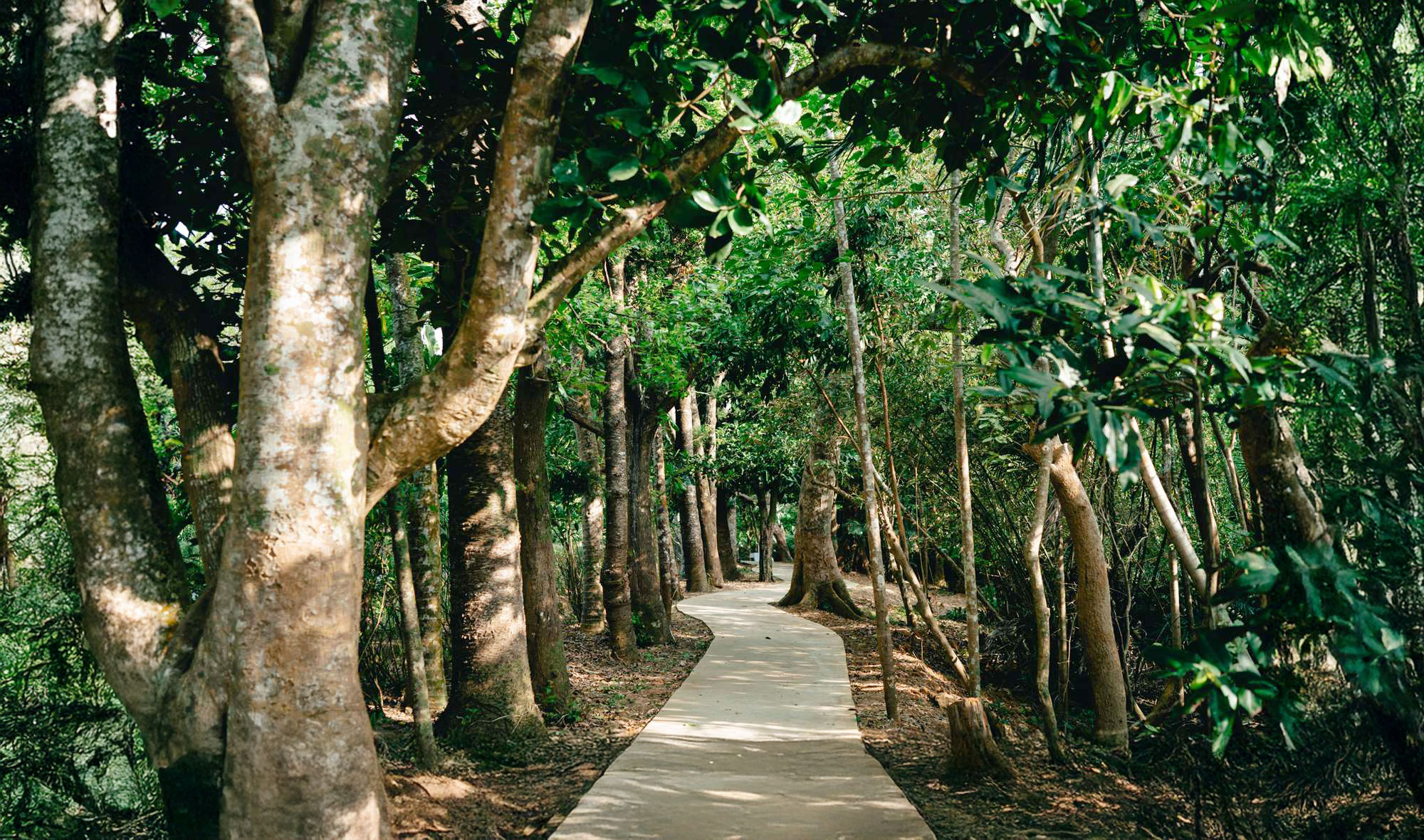 墾丁-森林浴步道