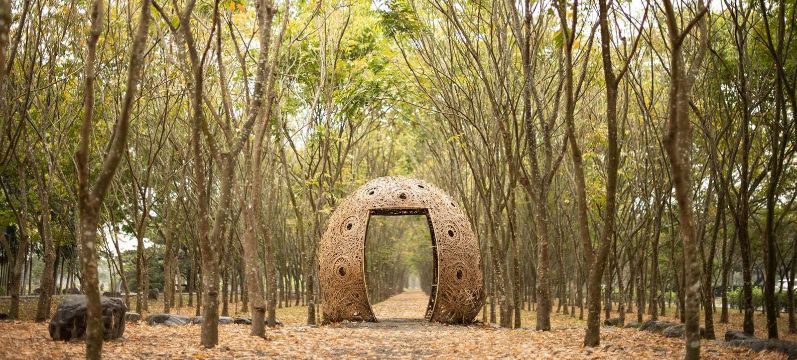 無患子林及竹構藝術