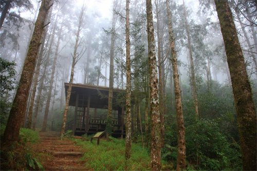 六龜警備道位於藤枝國家森林遊樂區路段