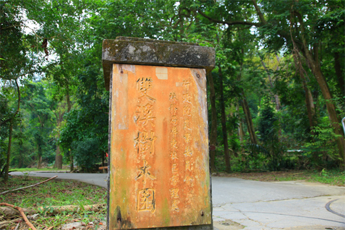 雙溪樹木園林相-步道入口