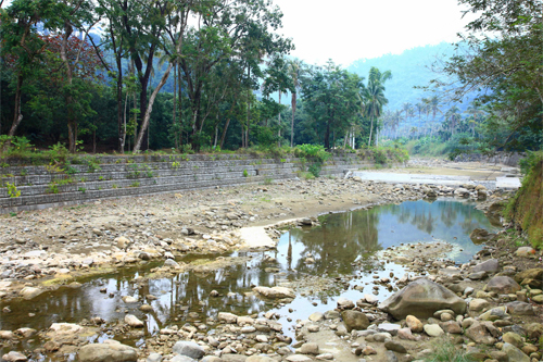 雙溪樹木園林相-美濃雙溪