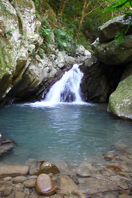 苦苓溪的小瀑布