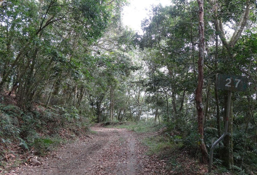 沙溪林道27K