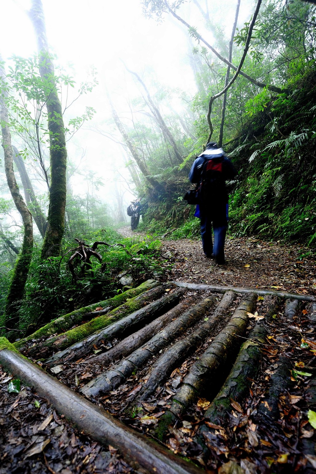 浸水營步道-洪佳儂攝