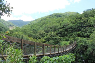 雙流國家森林遊樂區-吊橋