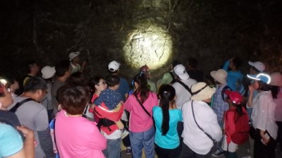 遊客在觀察石壁上的赤尾青竹絲