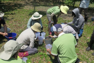 森林環教教案「森林水世界」讓學員從實驗中瞭解到森林土壤與草地土壤間的差異