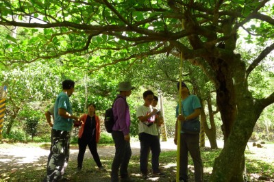 森林環教教案「森林解密行動」連結日常生活與樹木固碳之間的關係