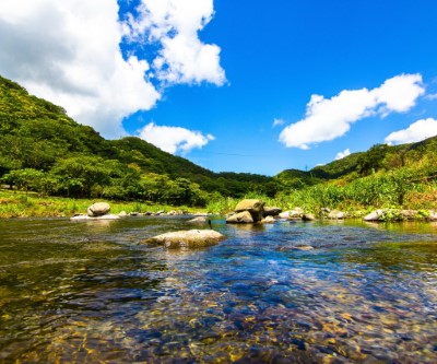 清澈沁涼的雙流溪流