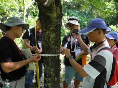 森林環教教案「森林解密行動」經由測量樹高、胸高直徑，瞭解森林具有儲存碳的能力