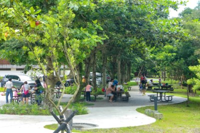 圖2休憩廣場、無障礙環狀步道、無障礙野餐桌椅及栽植原生植物
