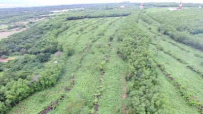 恆春半島銀合歡移除新植造林空拍照片