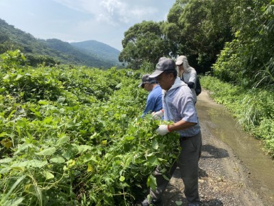 動手除綠癌大家一起來