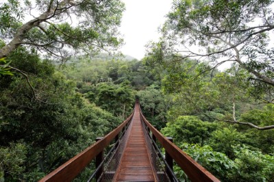 雙流沿山吊橋重新啟用