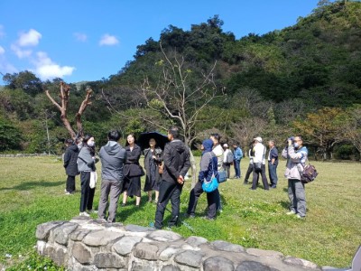 胸徑180公分以上遭盜伐茄苳樹栽植保管情形3