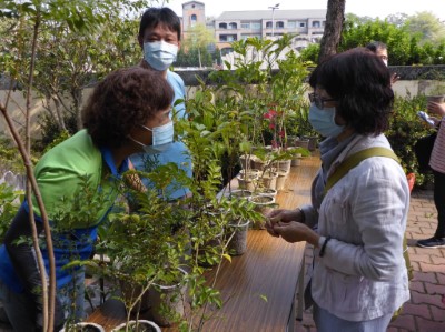 民眾詢問苗木相關問題