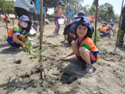 凌雲國小學生植樹1