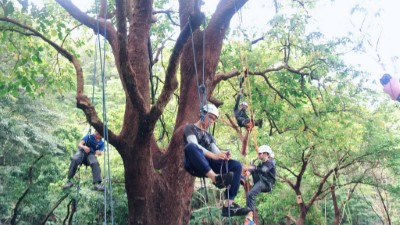 6~80歲都可以嘗試攀樹體驗活動