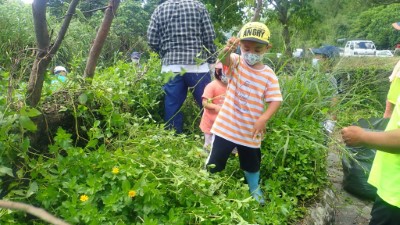 移除小花蔓澤蘭從幼苗做起