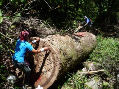 3.森林資源管理及巡護都是森林護管員的工作項目之一。
