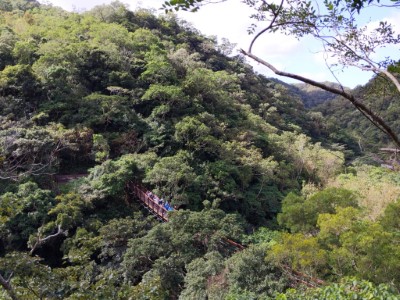 雙流沿山吊橋