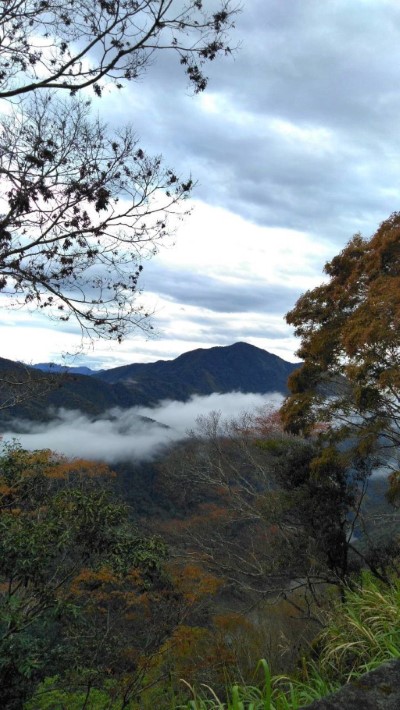 藤枝國家森林遊樂區遠眺山景