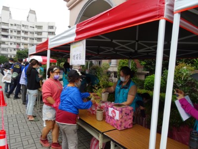 民眾排隊領取苗木