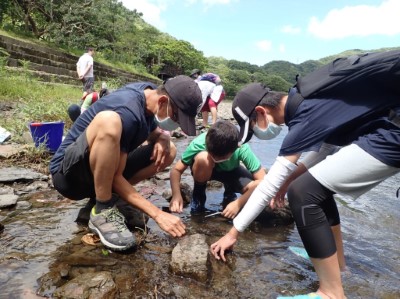 在溪流中探索與翻找水中生物