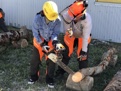 鋸木體驗