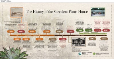 Thehistoryofthesucculentplanthouse