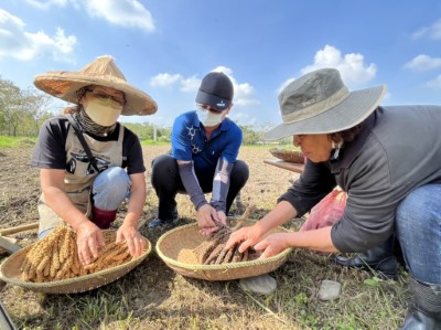 屏東林區管理處秘書張智強與新來義部落族人共同輕輕敲下小米的種子