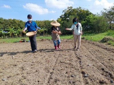 跟著VuVu輕輕將小米種子撒播在食農基地上