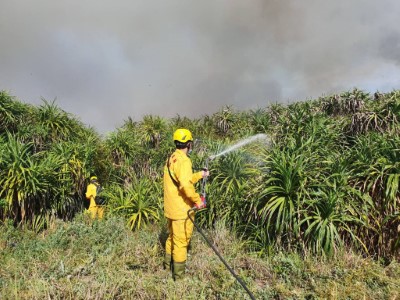 森林護管員搶救屏東縣滿州鄉森林火災