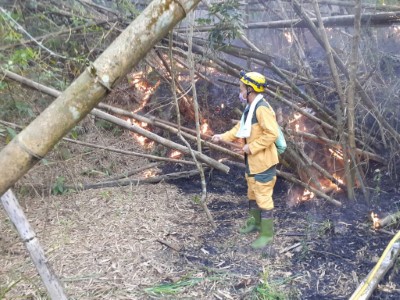森林護管員搶救高雄市內門區森林火災