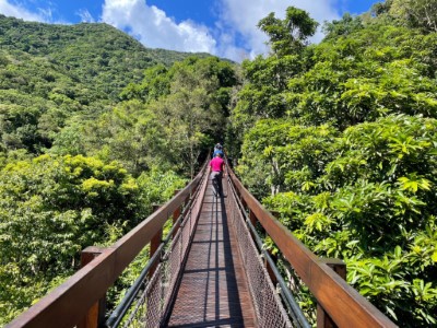 雙流國家森林遊樂區沿山吊橋