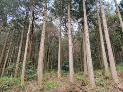 通過驗證之小關山國有林地