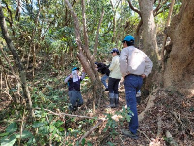 資源監測樣區稽核