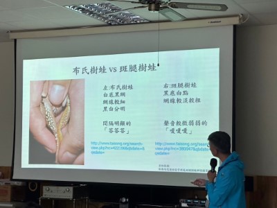 外來種斑腿樹蛙移除工作坊_室內課程6