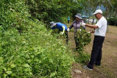 六龜新威森林公園移除成果3