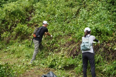 六龜新威森林公園移除成果4