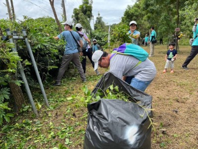 六龜新威森林公園移除成果8