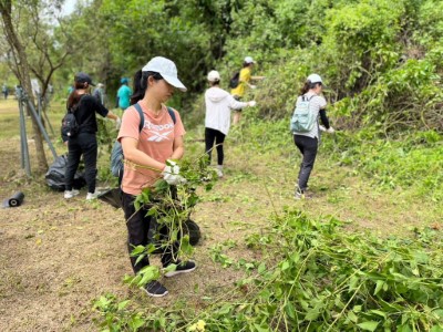 六龜新威森林公園移除成果9