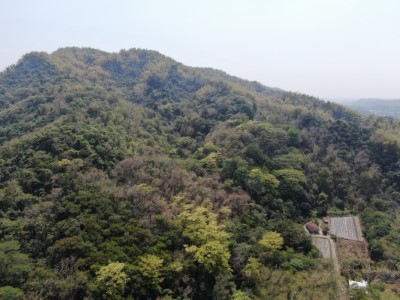 保護特有植物景觀及當地多樣的蝶類和鳥類資源