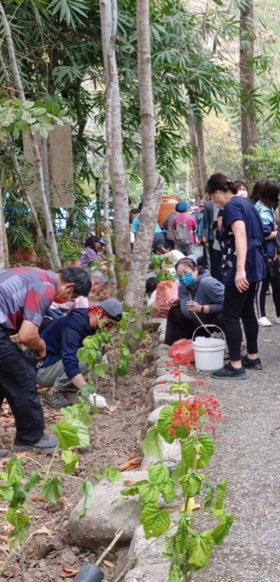 環境教育與蜜源植物栽種活動