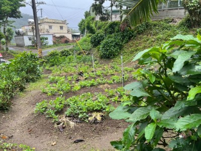 訪視家庭農園