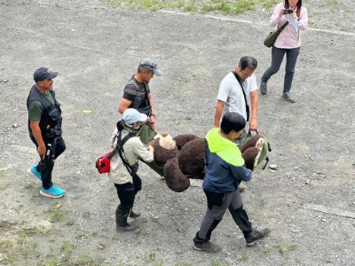 8.救傷演練搬運受傷黑熊(布偶熊)。