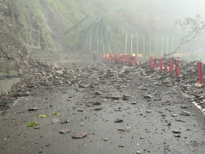 藤枝聯外道路邊坡3