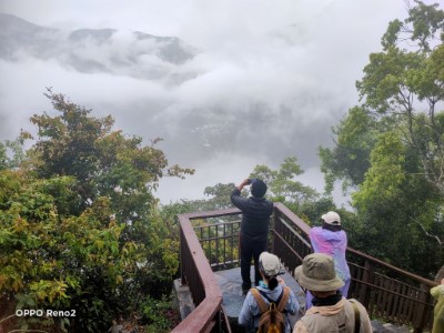 神山綠領解說員帶野外觀察