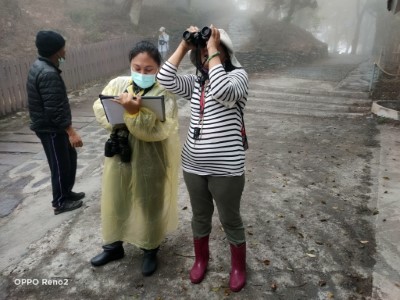 神山綠領解說員進行野外觀察紀錄